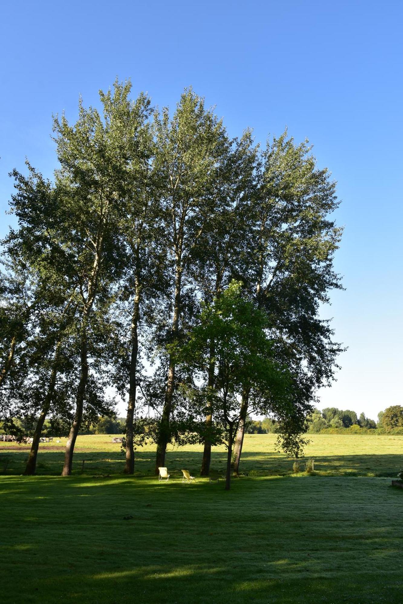 Domaine De L'Ermitage Bed & Breakfast Berry-Bouy Екстериор снимка