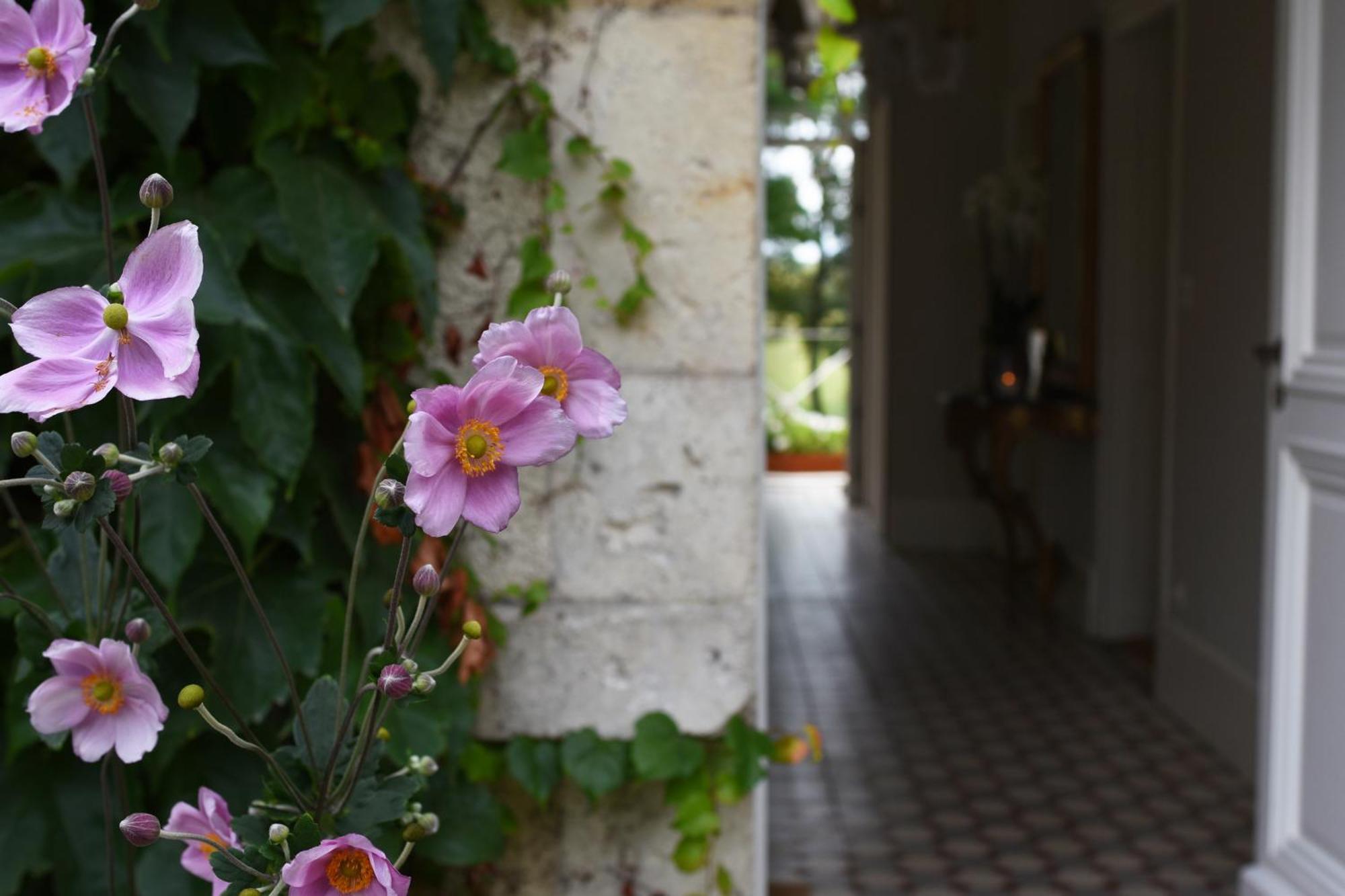 Domaine De L'Ermitage Bed & Breakfast Berry-Bouy Екстериор снимка